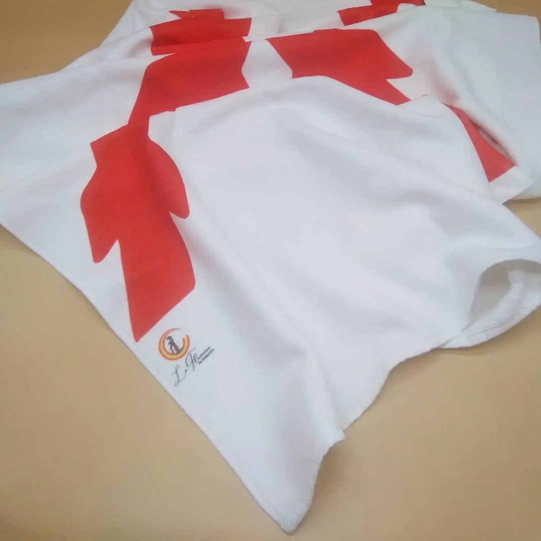 Comprar Toalla de Playa Cruz de Borgoña 2 Bandera España La Flamenca de Borgoña Patricia Muñoz VOX